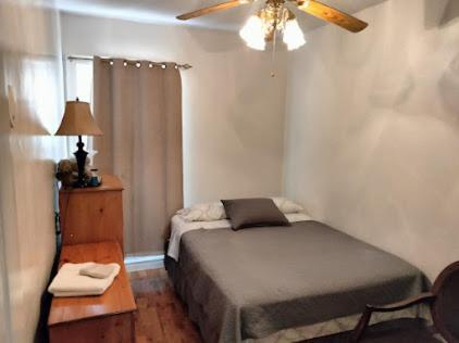 Beautiful Brooklyn Koi-fish Pond-garden Apartamento *